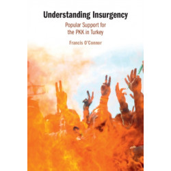 Understanding Insurgency: Popular Support for the PKK in Turkey