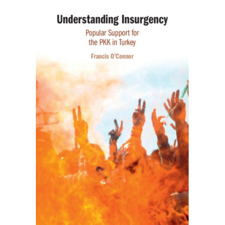 Understanding Insurgency: Popular Support for the PKK in Turkey
