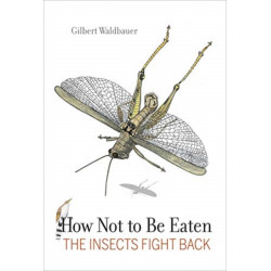 How Not to Be Eaten: The Insects Fight Back