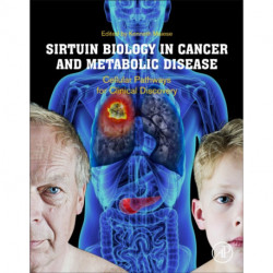 Sirtuin Biology in Cancer and Metabolic Disease: Cellular Pathways for Clinical Discovery