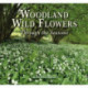 Woodland Wild Flowers: Through the Seasons