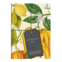 Botanical Art Notebook Set: 3 A5 ruled notebooks with stitched spines