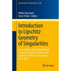 Introduction to Lipschitz Geometry of Singularities: Lecture Notes of the International School on Singularity Theory and Lipschitz Geometry, Cuernavaca, June 2018