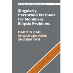 Singularly Perturbed Methods for Nonlinear Elliptic Problems