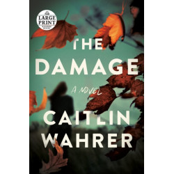 The Damage: A Novel