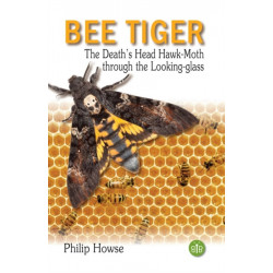 Bee Tiger: The Death's Head Hawk-moth through the Looking-glass