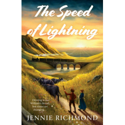 The Speed of Lightning