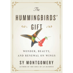 The Hummingbirds' Gift: Wonder, Beauty, and Renewal on Wings