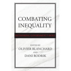 Combating Inequality: Rethinking Government's Role
