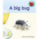 A big bug