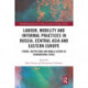 Labour, Mobility and Informal Practices in Russia, Central Asia and Eastern Europe: Power, Institutions and Mobile Actors in Transnational Space