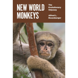 New World Monkeys: The Evolutionary Odyssey