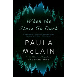 When the Stars Go Dark: A Novel