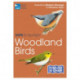 RSPB ID Spotlight - Woodland Birds