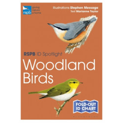 RSPB ID Spotlight - Woodland Birds