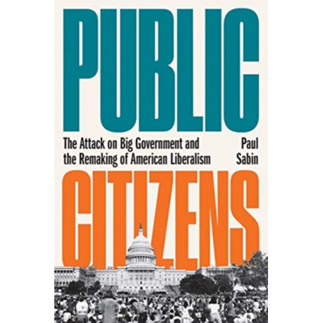 Public Citizens: The Attack on Big Government and the Remaking of American Liberalism