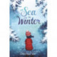 The Sea in Winter