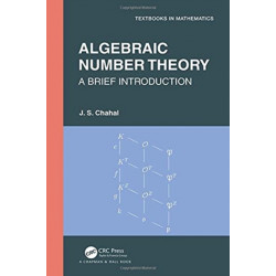 Algebraic Number Theory: A Brief Introduction