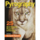 Pyrography (Bookazine): 25 Skill-Building Projects & Patterns featuring Burning for Beginners