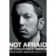 Not Afraid: The Evolution of Eminem