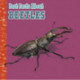 Fast Facts About Beetles