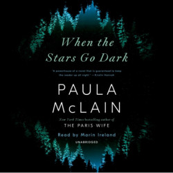 When the Stars Go Dark: A Novel
