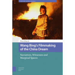 Wang Bing's Filmmaking of the China Dream: Narratives, Witnesses and Marginal Spaces
