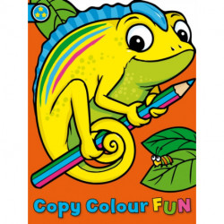 Copy Colour Fun: Chameleon