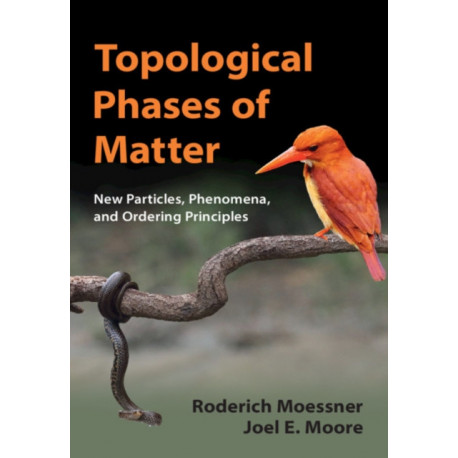 Topological Phases of Matter