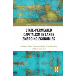 State-permeated Capitalism in Large Emerging Economies