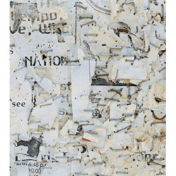 Mitch Epstein: Property Rights