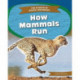 How Mammals Run