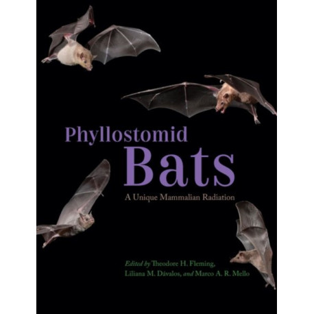 Phyllostomid Bats: A Unique Mammalian Radiation