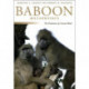 Baboon Metaphysics: The Evolution of a Social Mind