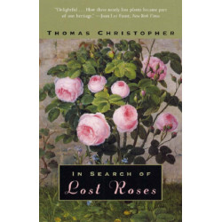 In Search of Lost Roses