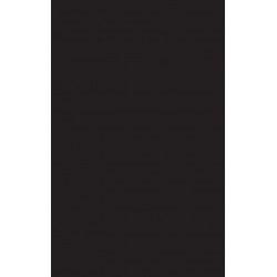 The Chicago Guide to College Science Teaching