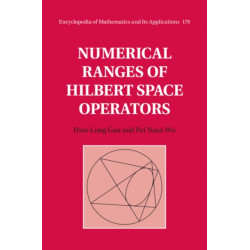 Numerical Ranges of Hilbert Space Operators