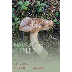 Matsutake Worlds