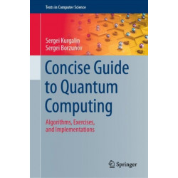 Concise Guide to Quantum Computing: Algorithms, Exercises, and Implementations