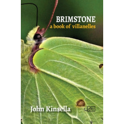 Brimstone: A Book of Villanelles