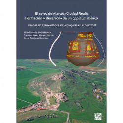 El cerro de Alarcos (Ciudad Real): Formacion y desarrollo de un oppidum iberico: 20 anos de excavaciones arqueologicas en el Sector III