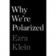 Why We're Polarized