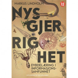 Nysgjerrighet : dybdelæring i informasjonssamfunnet