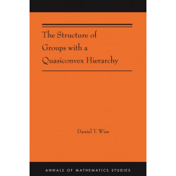The Structure of Groups with a Quasiconvex Hierarchy: (AMS-209)