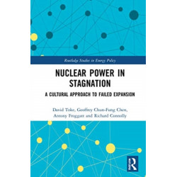 Nuclear Power in Stagnation: A Cultural Approach to Failed Expansion