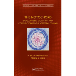 The Notochord: Development, Evolution and contributions to the vertebral column