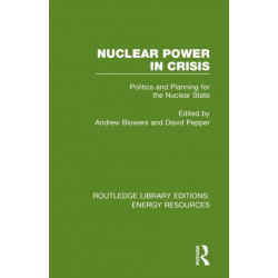 Nuclear Power in Crisis: Politics and Planning for the Nuclear State