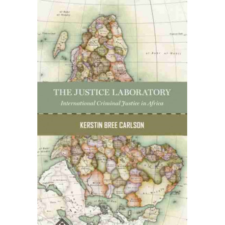The Justice Laboratory: International Law in Africa