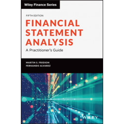 Financial Statement Analysis: A Practitioner's Guide