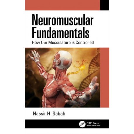Neuromuscular Fundamentals: How Our Musculature is Controlled